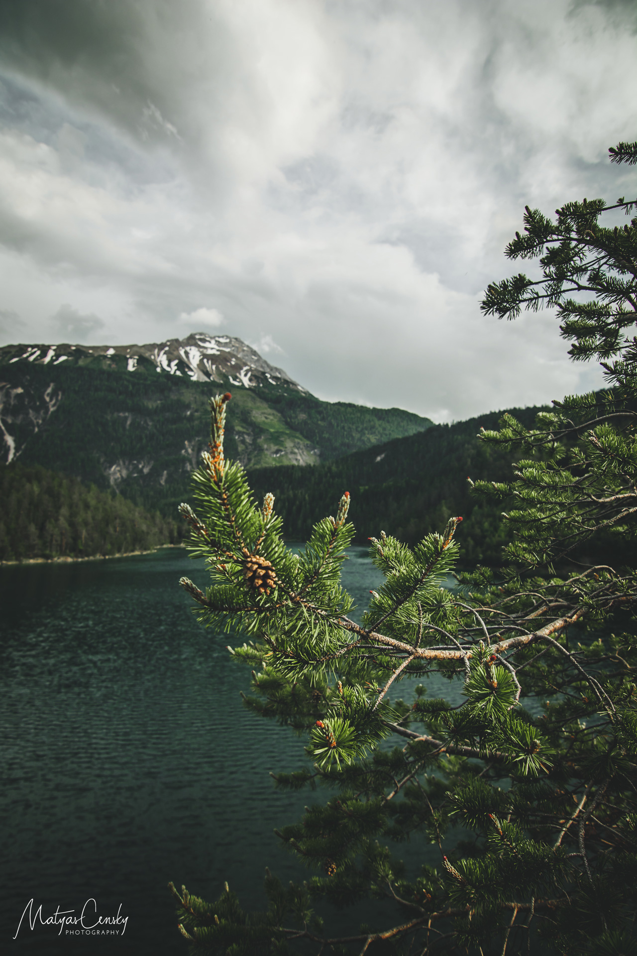 Photo of a branch with a pinecone pointing to a top of a mountain in the background, taken near Blindsee, Austria.