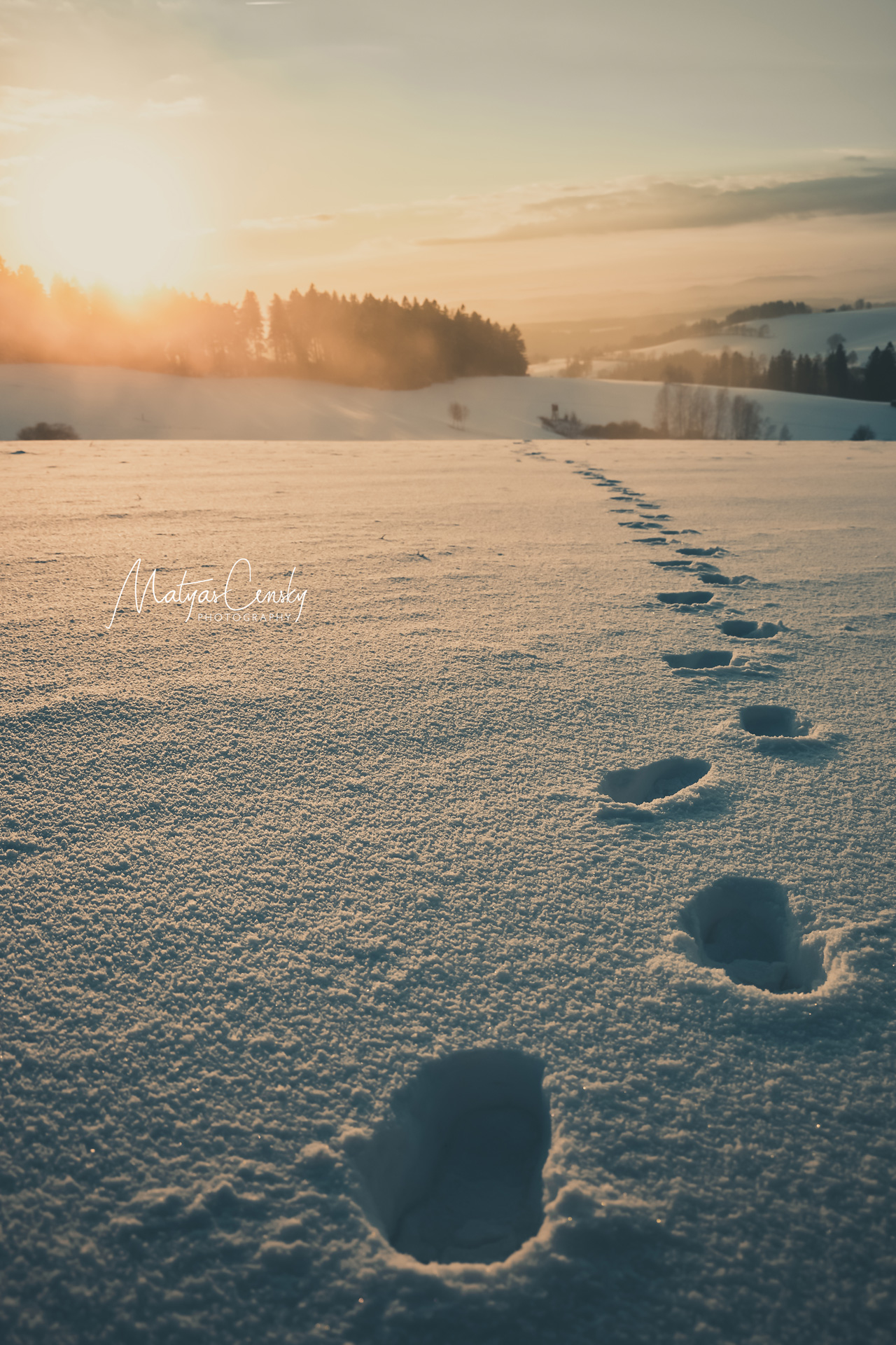 Photo of footprins in snow during sun set in the background up in the mountains in Czech republic.