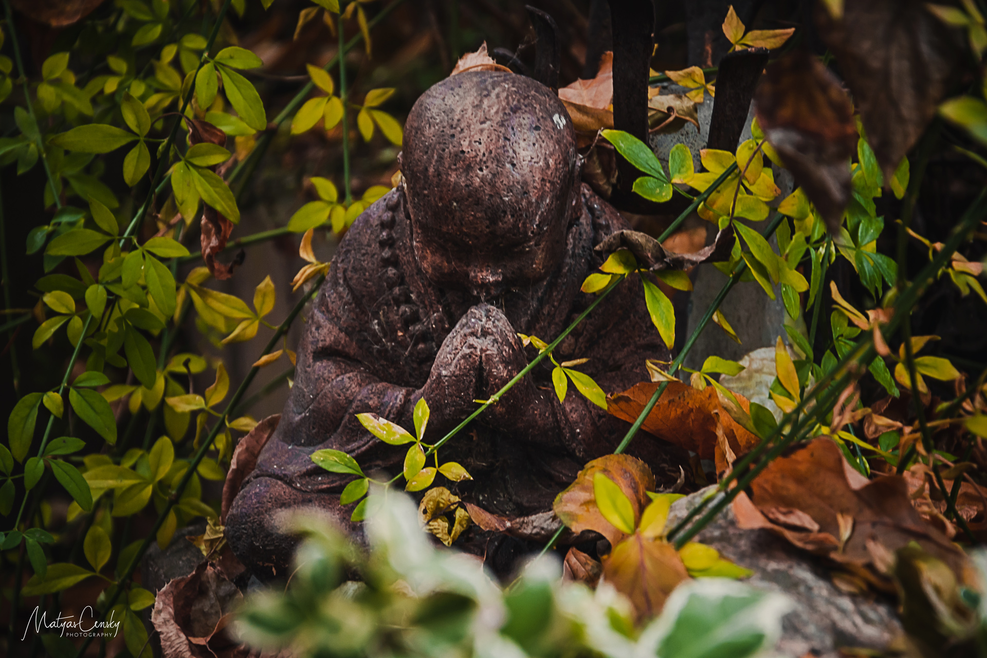 Photo of a small statue of Budha in green nature.