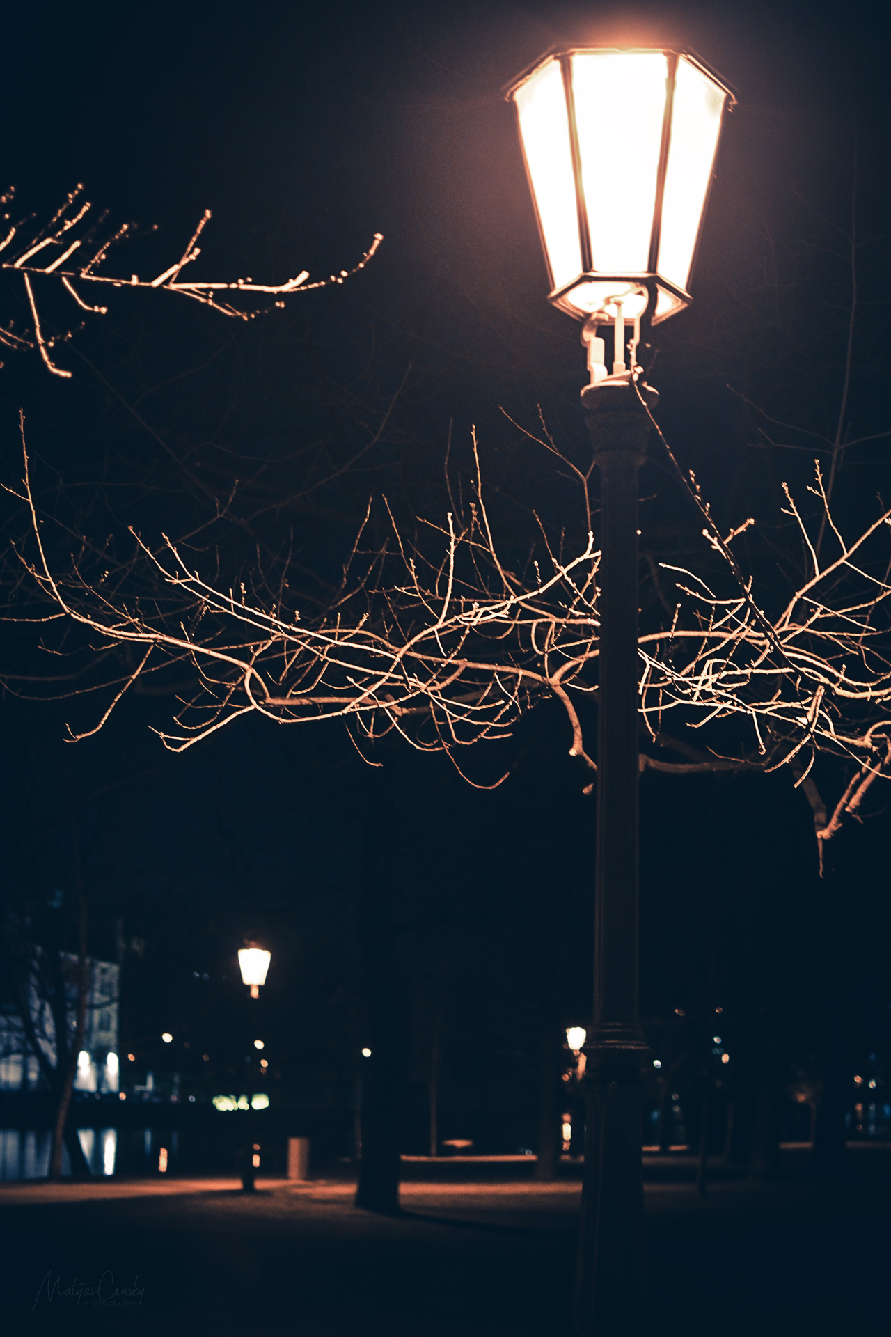 Night photo of an old lamp post with tree branch in background in a park in Prague, Czech republic.