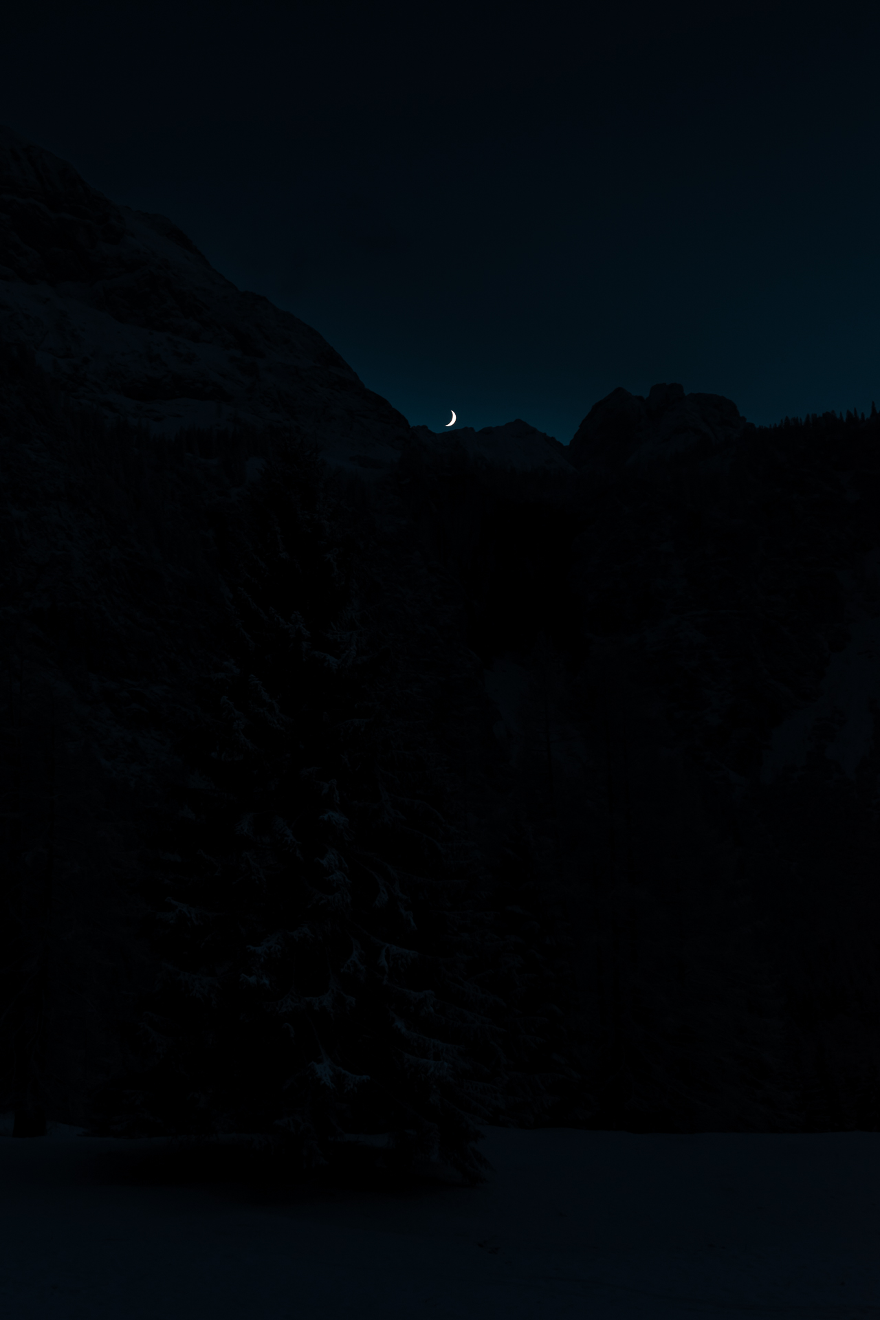 Photo of a moon sitting on a mountain at night with a tree in a foreground in winter, Austria.