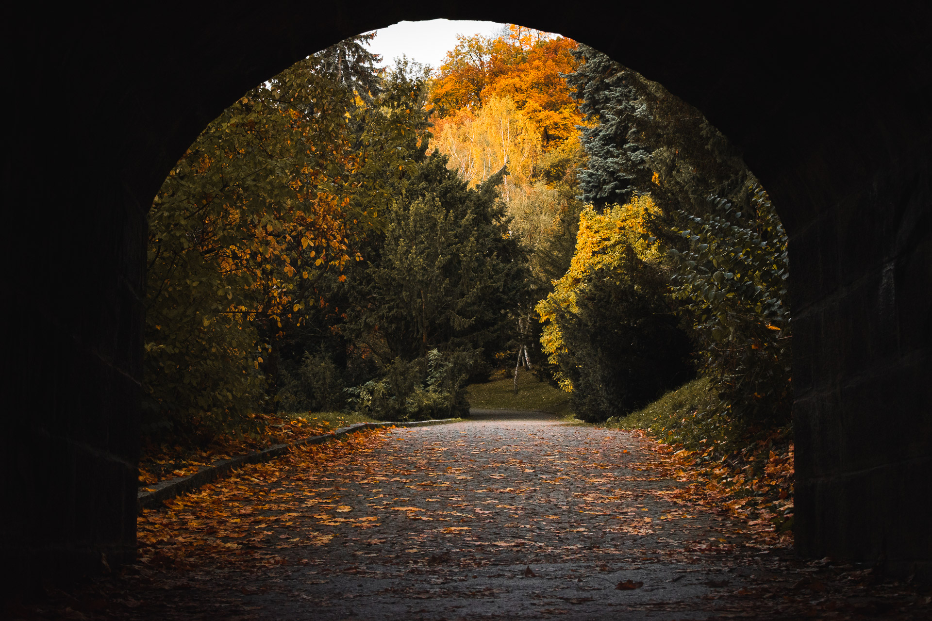 Photo of a tunnel into an autumn scene at Petrin, Prague.