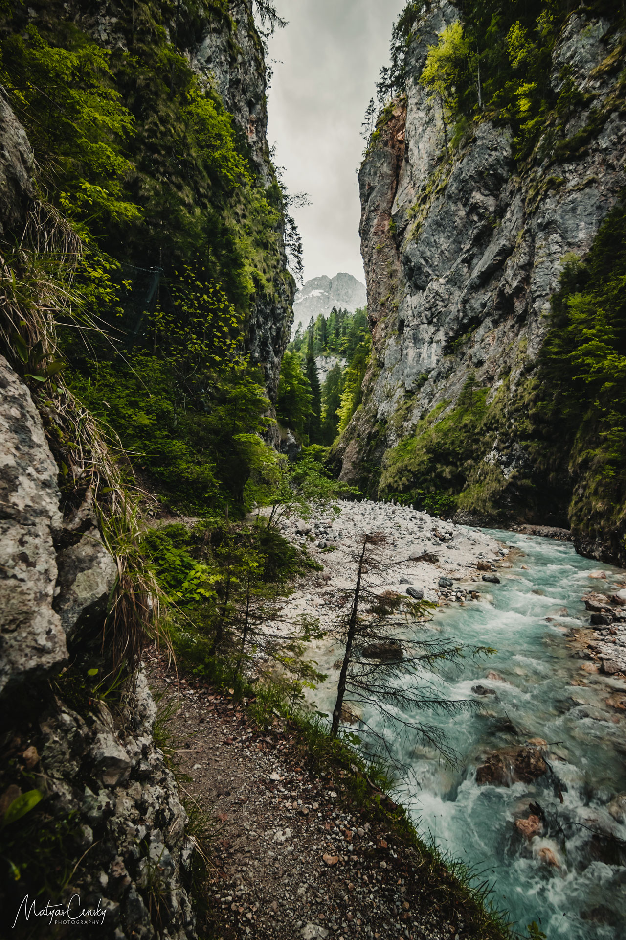 Photo of a wild river canoyn leading up to the mountains in Triglav National Park, Slovenia.