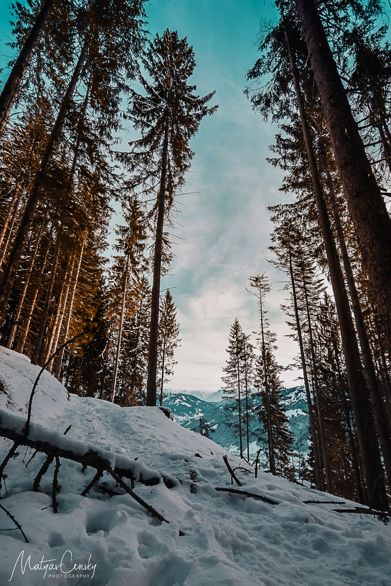 Landscape photo of winter trail in forest with snow, fallen tree over the trail and snowy mountains in the back, taken in Kitzbuehel, Austria.